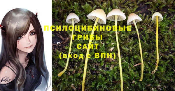 крисы Волосово