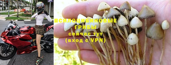 крисы Волосово